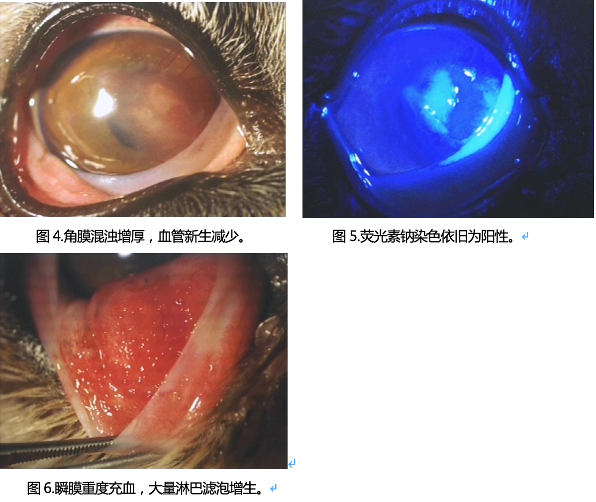 学术文献详情